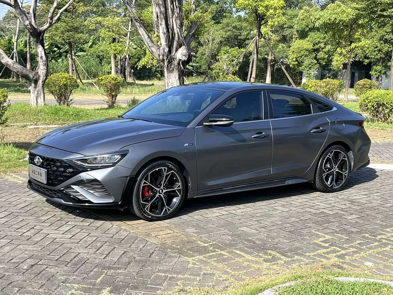 Hyundai Fista — фото 1