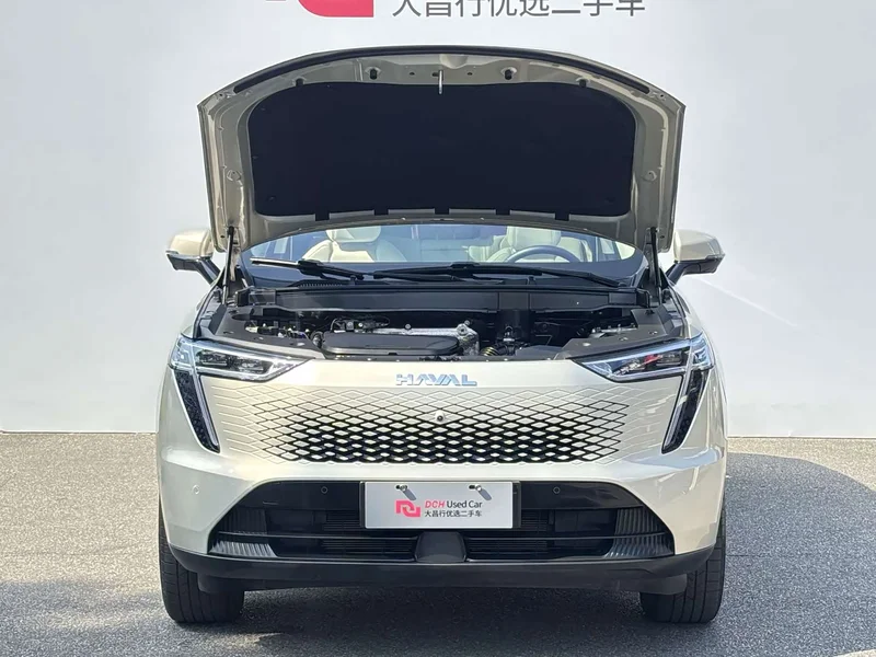 Haval Xiaolong MAX — фото 7