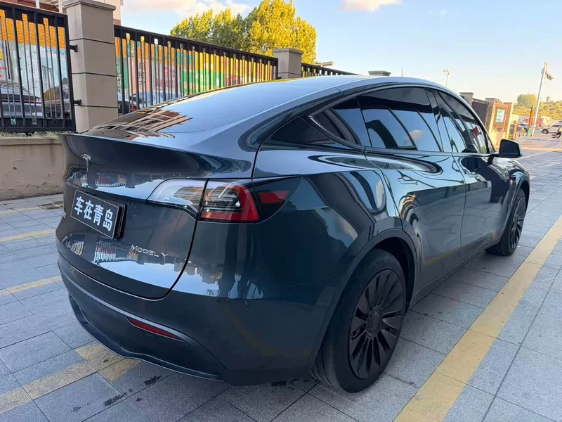 Tesla Model Y — фото 14