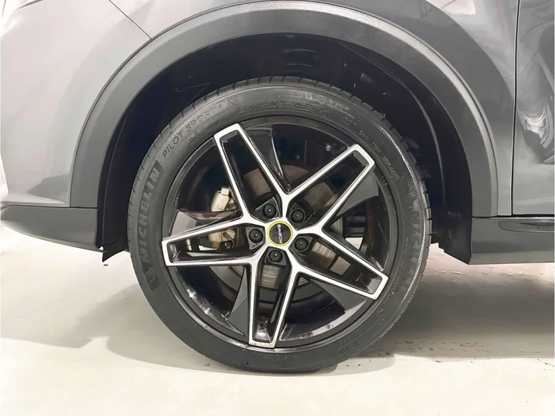 Roewe RX5 New Energy — фото 14