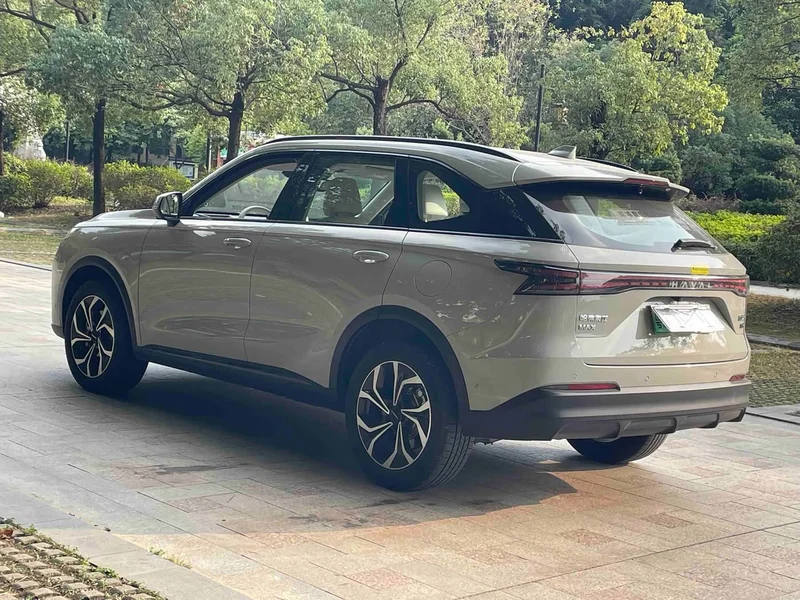 Haval Xiaolong MAX — фото 10