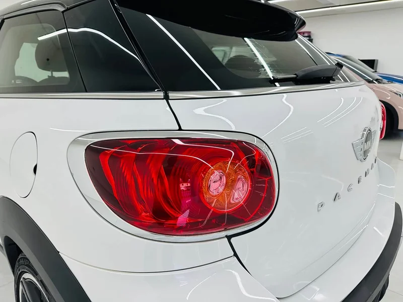 MINI PACEMAN — фото 20