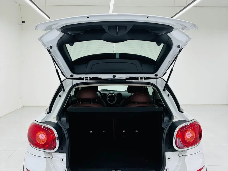 MINI PACEMAN — фото 22