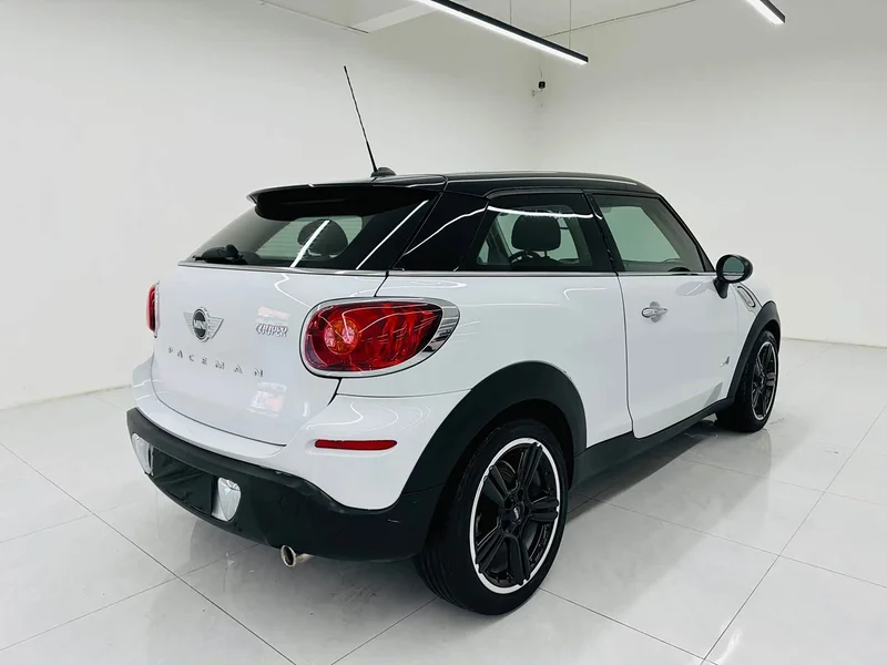 MINI PACEMAN — фото 6