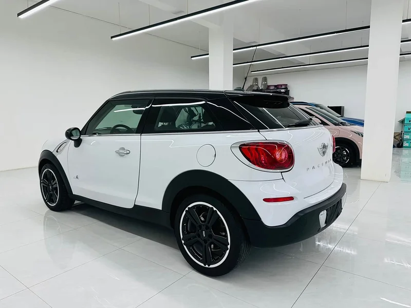 MINI PACEMAN — фото 7