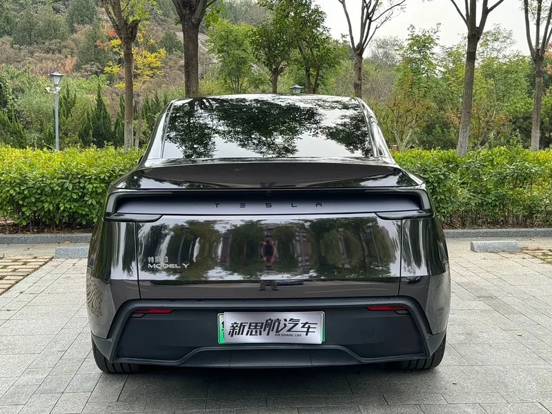 Tesla Model Y — фото 5
