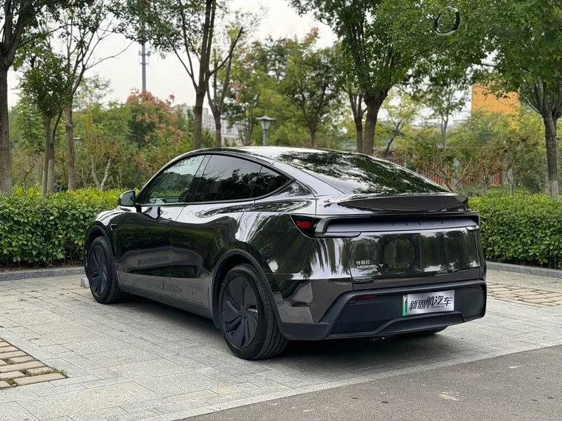 Tesla Model Y — фото 6