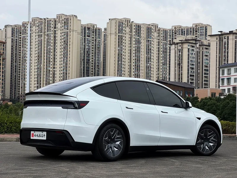 Tesla Model Y — фото 11