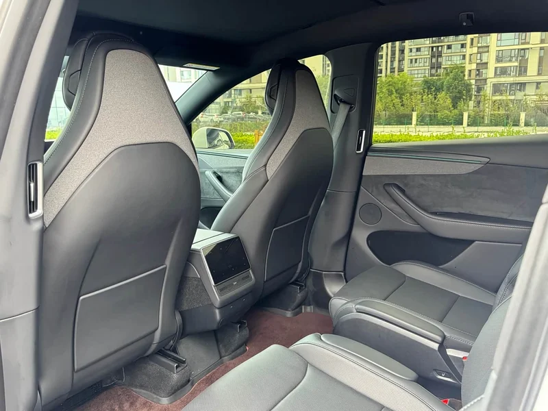 Tesla Model Y — фото 6