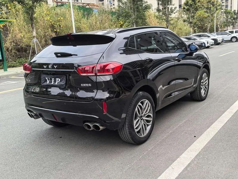 Wey VV5 — фото 5