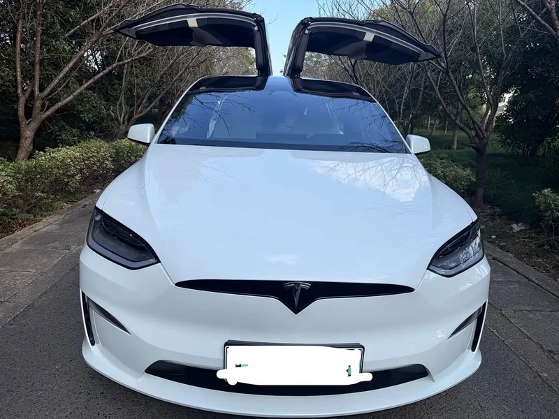 Tesla Model X — фото 2