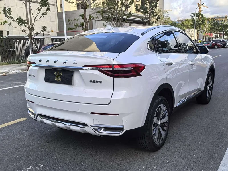 Haval F7x — фото 7