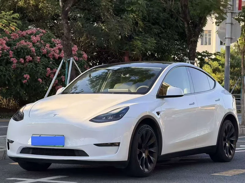 Tesla Model Y — фото 2