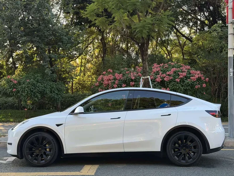 Tesla Model Y — фото 3