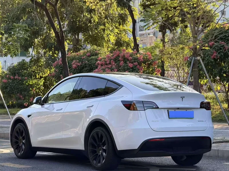 Tesla Model Y — фото 4