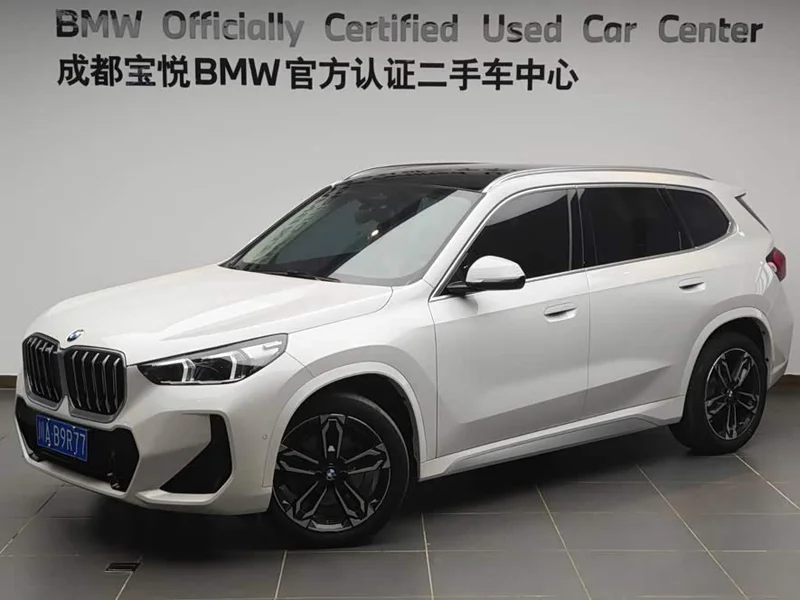 BMW X1 — фото 1