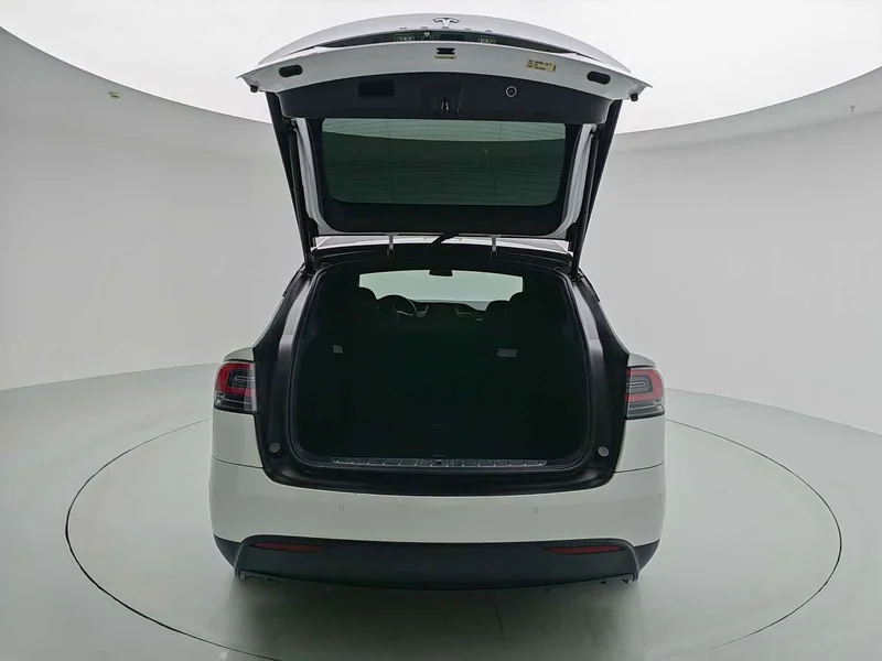 Tesla Model X — фото 20