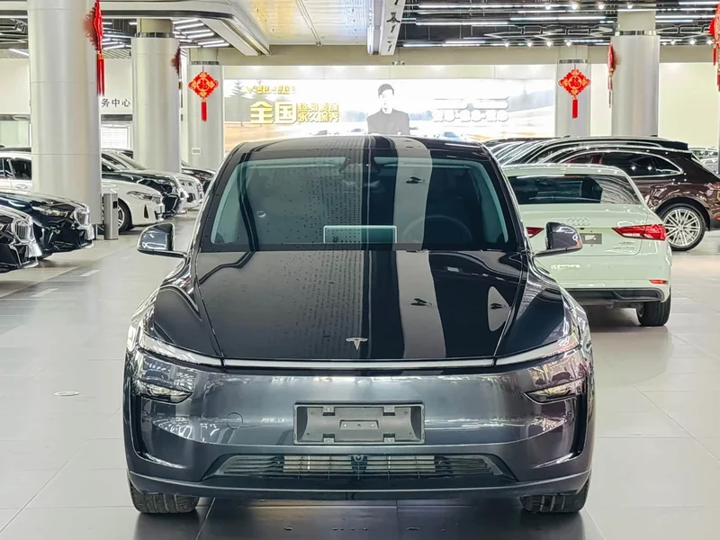 Tesla Model Y — фото 2