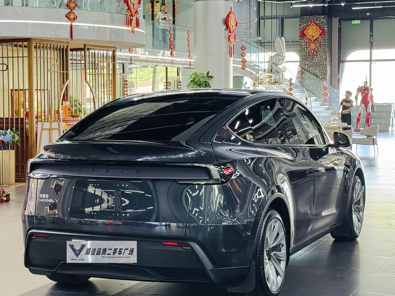 Tesla Model Y — фото 9