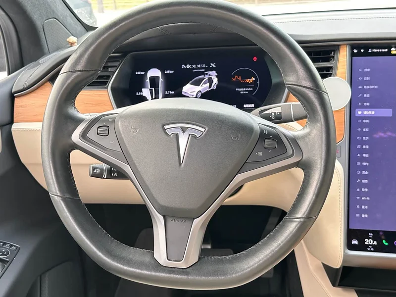Tesla Model X — фото 12