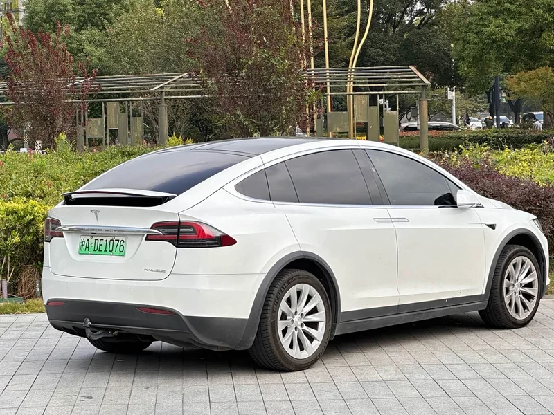 Tesla Model X — фото 19