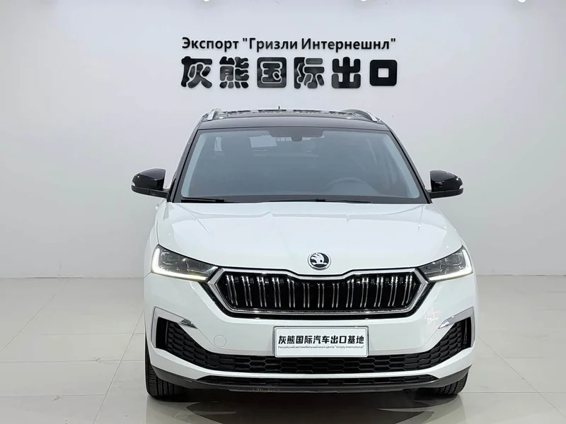 Skoda Kamiq — фото 2