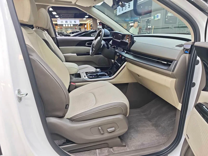 Kia Carnival — фото 13