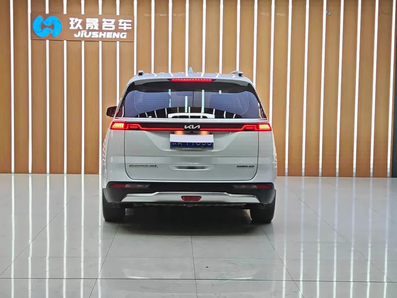 Kia Carnival — фото 15