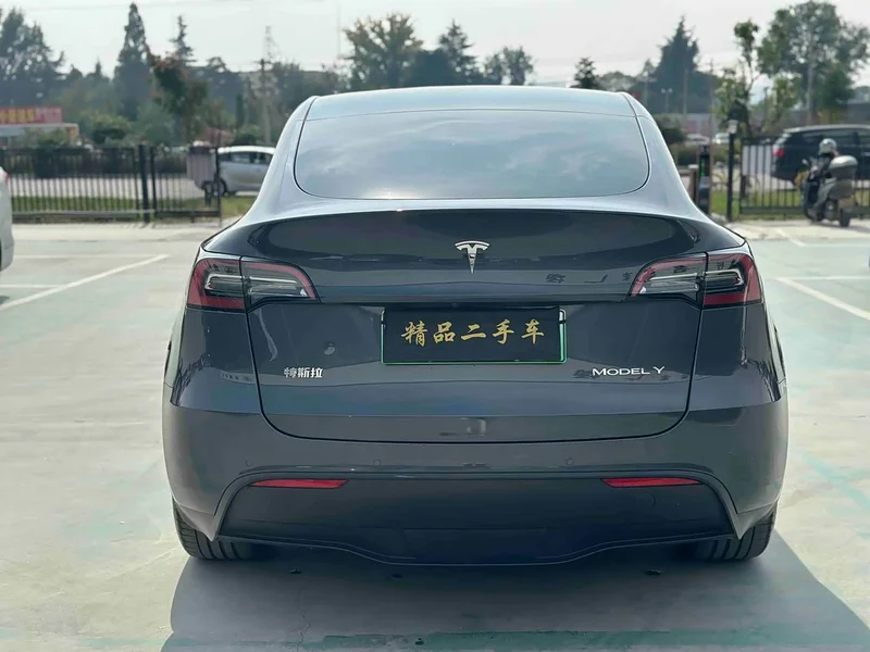 Tesla Model Y — фото 8