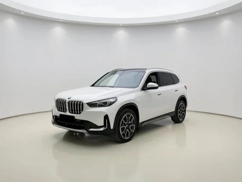 BMW X1 — фото 1