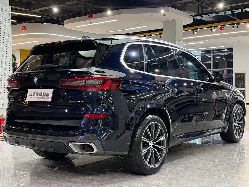 BMW X5 (Imported) — фото 16