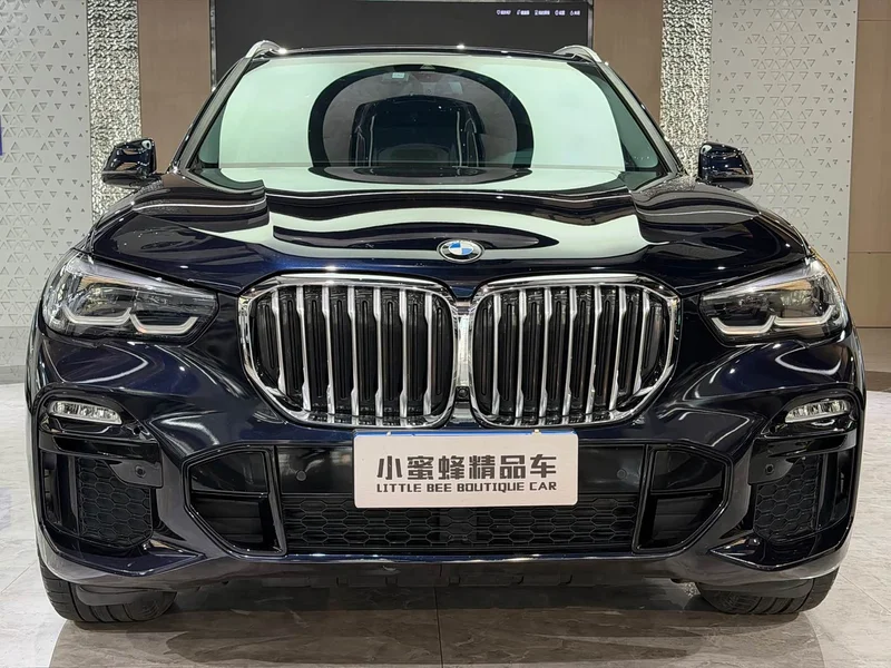 BMW X5 (Imported) — фото 2
