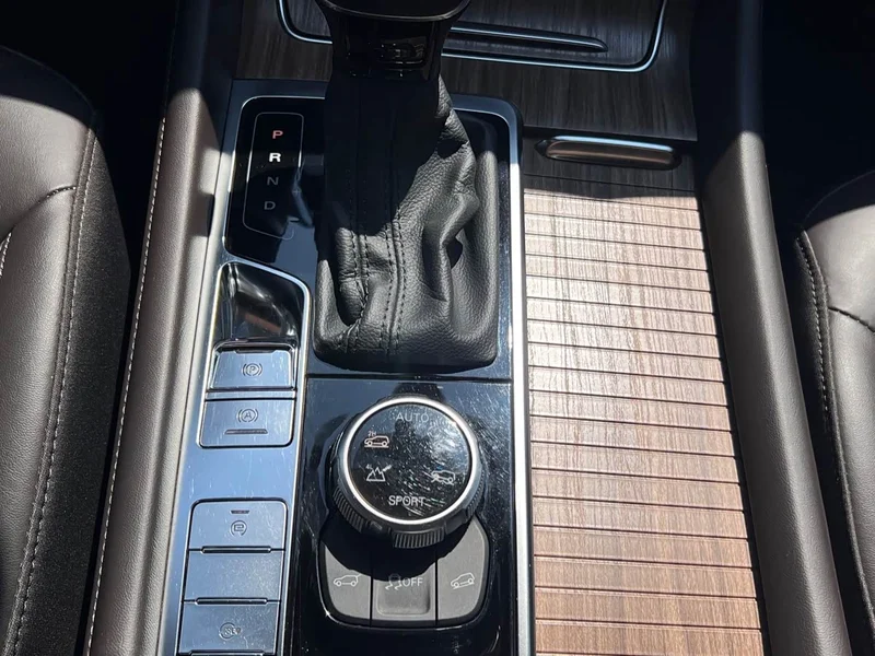 Roewe RX8 — фото 19