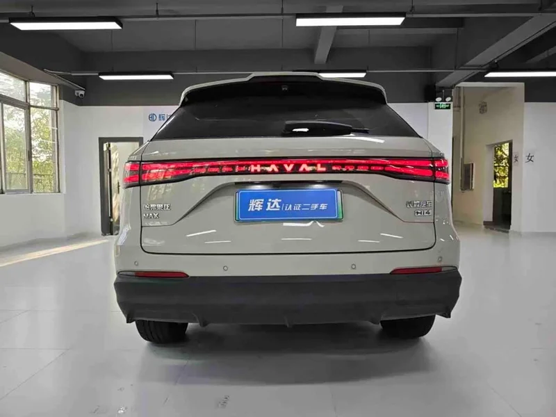 Haval Xiaolong MAX — фото 13