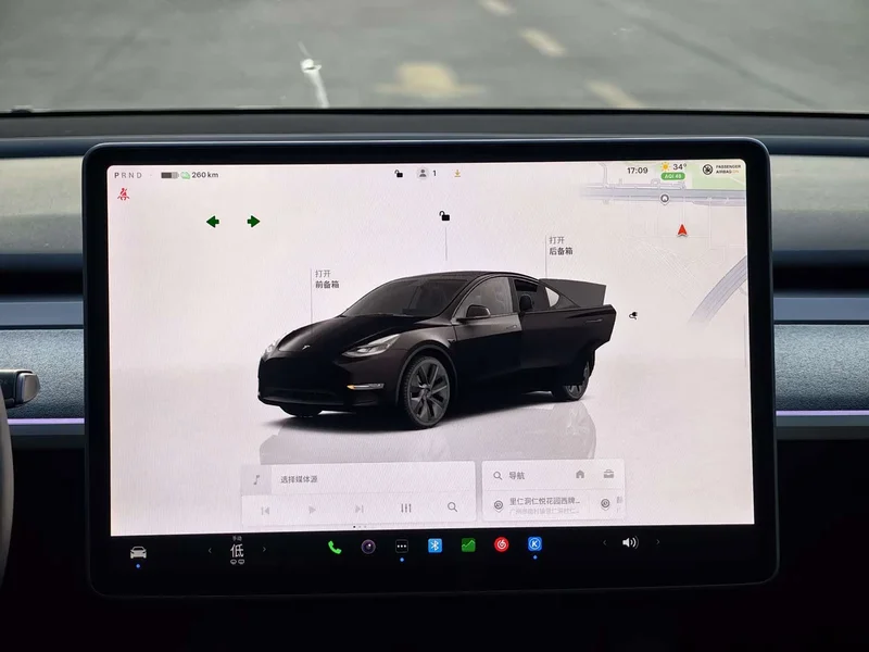 Tesla Model Y — фото 20