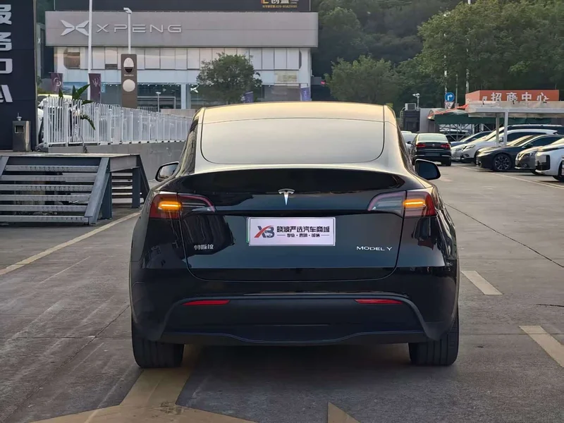 Tesla Model Y — фото 5