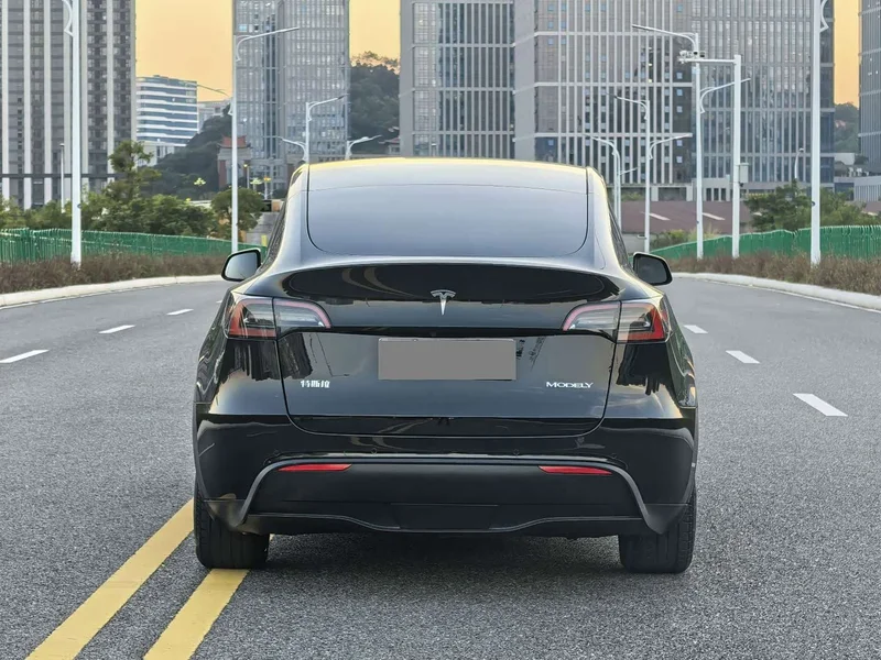 Tesla Model Y — фото 8