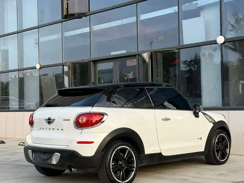 MINI PACEMAN — фото 6