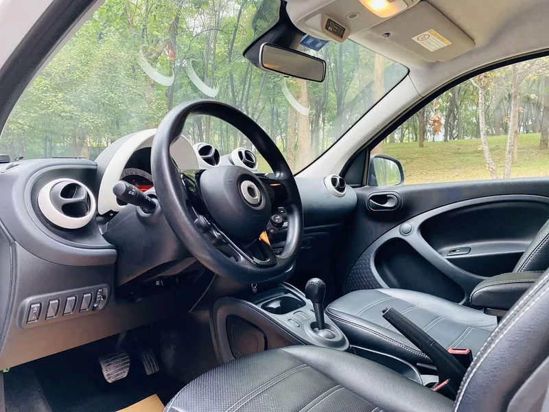 Smart Forfour — фото 7
