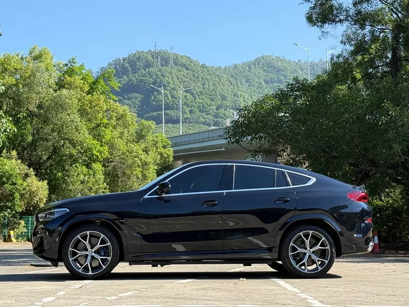BMW X6 — фото 17