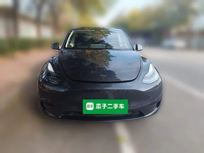 Tesla Model Y — фото 2