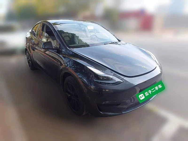 Tesla Model Y — фото 3