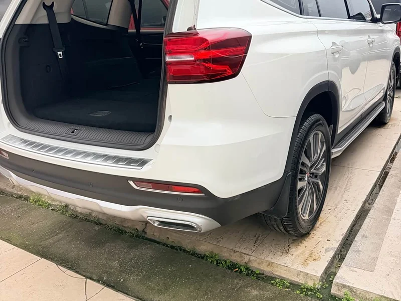 Roewe RX8 — фото 15