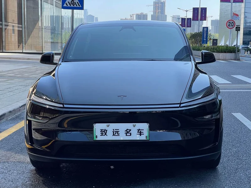 Tesla Model Y — фото 2