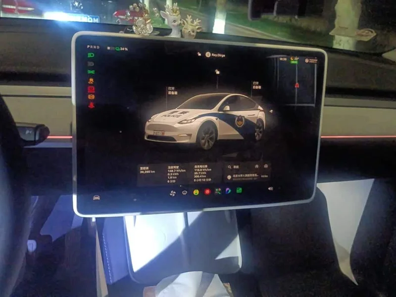 Tesla Model Y — фото 13
