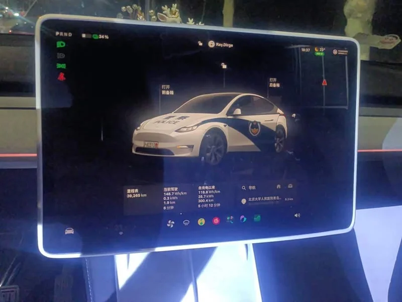 Tesla Model Y — фото 14
