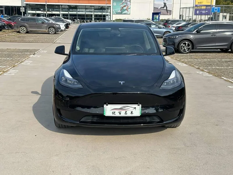 Tesla Model Y — фото 2