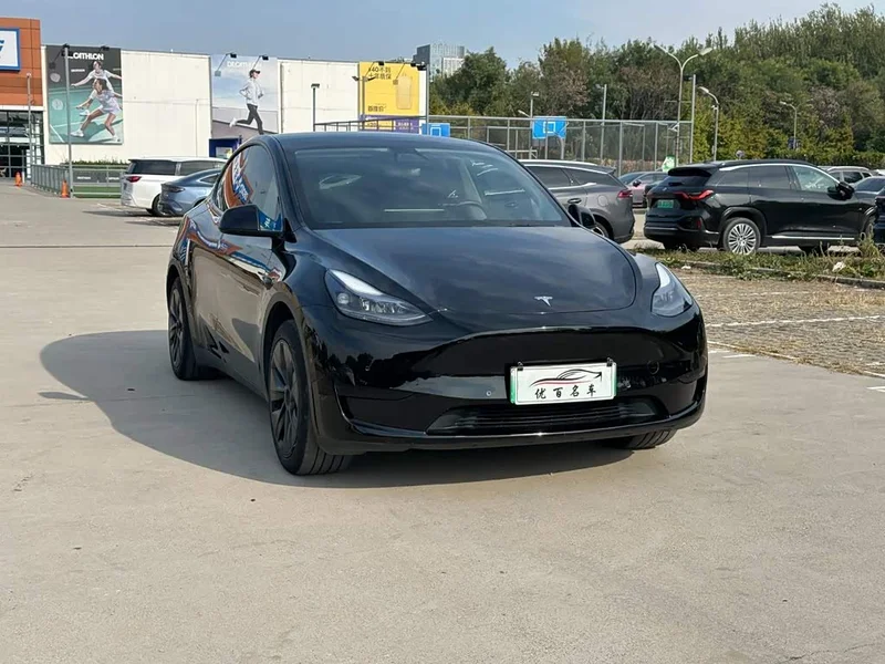 Tesla Model Y — фото 3