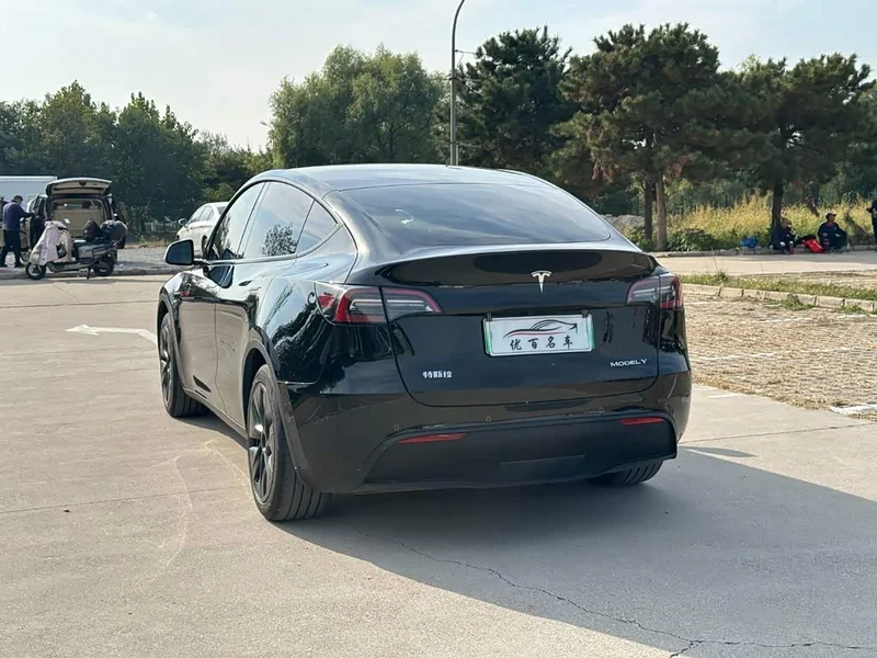 Tesla Model Y — фото 4