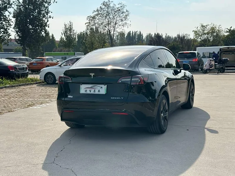 Tesla Model Y — фото 6